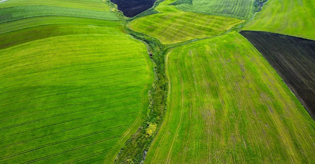 découvrez les pratiques de l'agriculture écologique, favorisant la préservation de l'environnement, la biodiversité et des méthodes durables pour une production alimentaire saine et responsable.