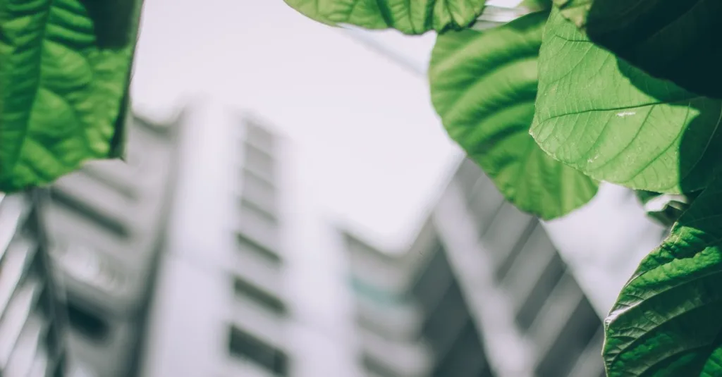 découvrez les réglementations environnementales essentielles pour la protection de la nature et la conformité légale des entreprises.