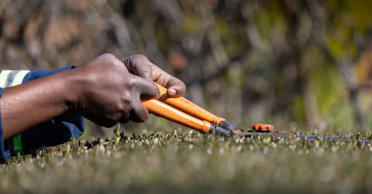 découvrez les meilleures techniques d'élagage pour entretenir vos arbres et arbustes, favoriser leur croissance et embellir votre jardin.