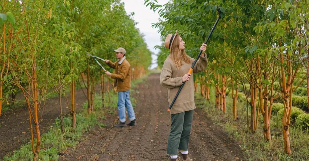 découvrez les meilleures techniques d'élagage pour entretenir vos arbres et arbustes, favoriser leur croissance et assurer leur santé tout au long de l'année.